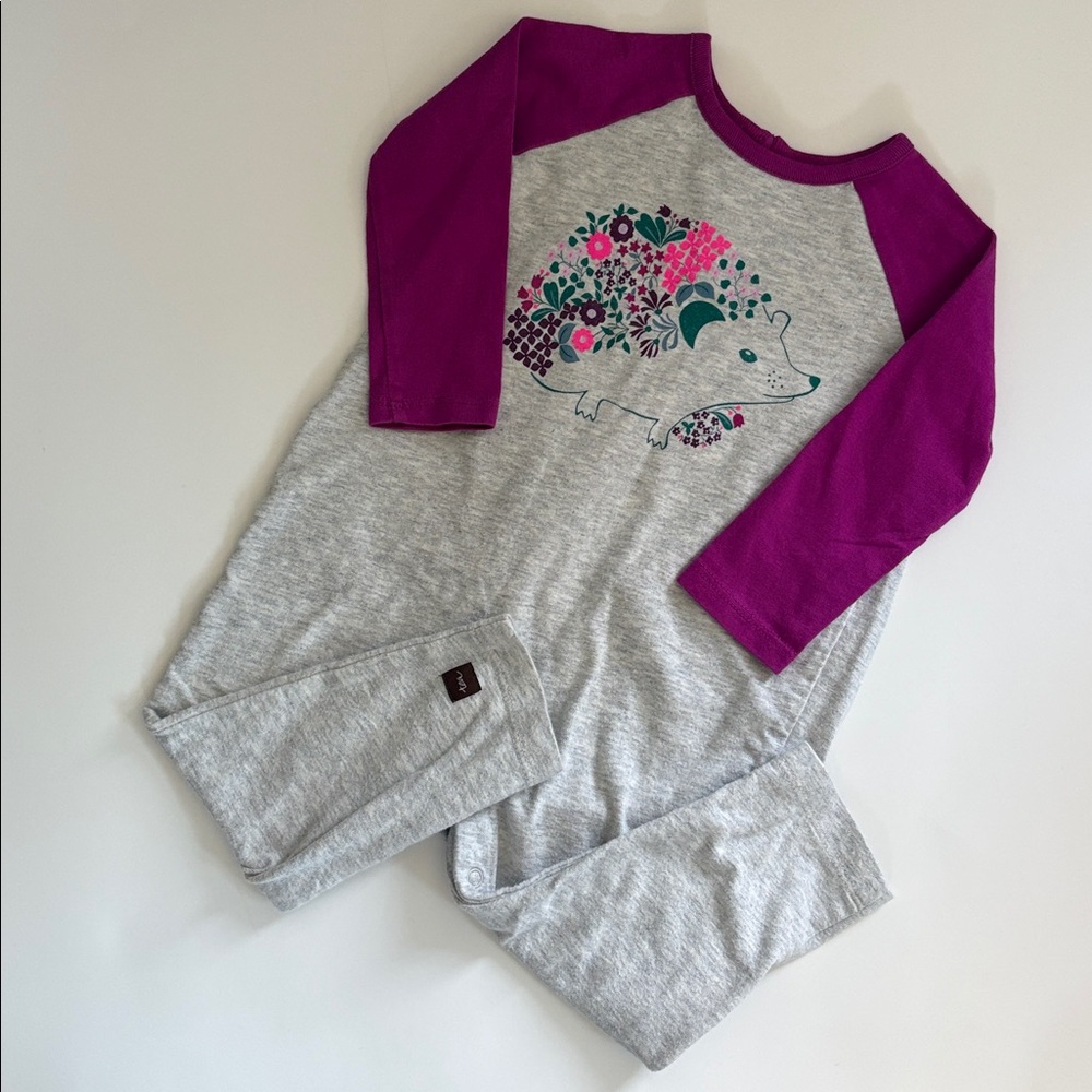 Tea Collection Long Sleeve‎ Baby Romper 9 - 12 months hedgehog print onesie